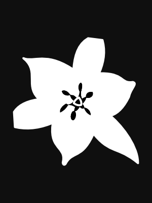 foundation.app link to InkedZoo NFT page